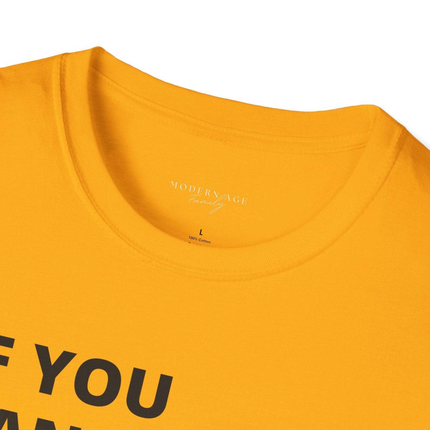 If you can dream it do it tshirt