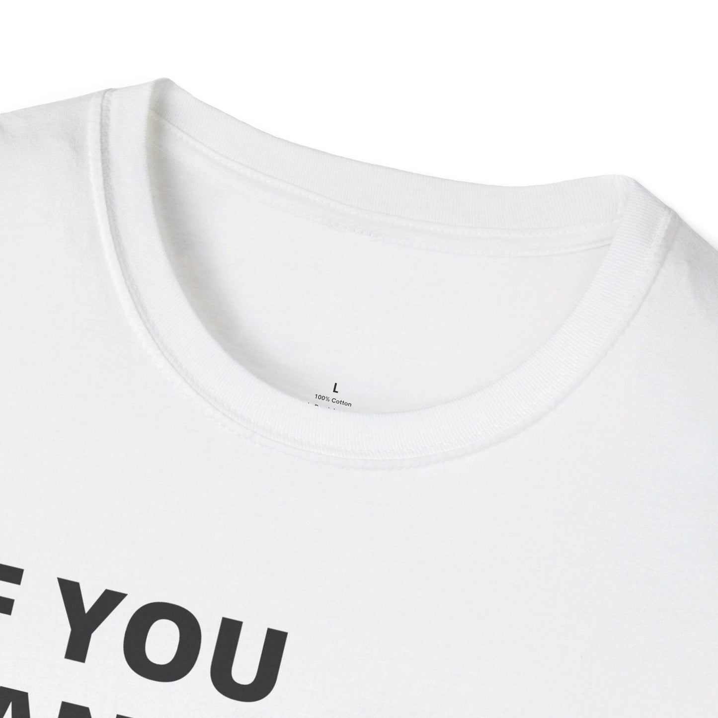 If you can dream it do it tshirt